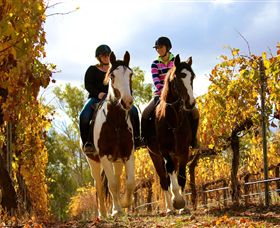 Billabong Ranch - Accommodation in Brisbane 0