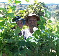 Wimmera Hills Winery - Accommodation in Brisbane
