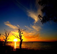 Lake Cowal - Accommodation in Brisbane