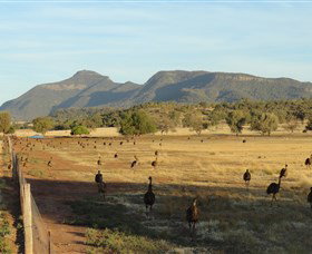 Tooraweenah NSW Accommodation in Brisbane