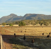 Emu Logic - Accommodation in Brisbane