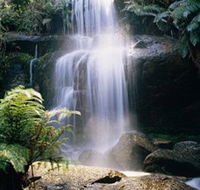 Mount Buangor State Park - Accommodation in Brisbane