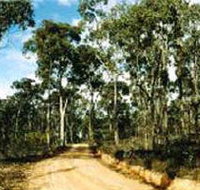 Paddys Ranges State Park - Accommodation in Brisbane