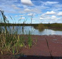 Gwydir Wetlands - Accommodation in Brisbane