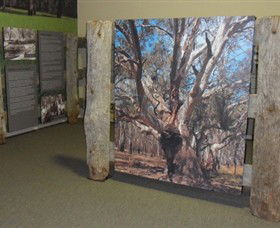 Barmah Forest Heritage And Education Centre - Accommodation in Brisbane 2