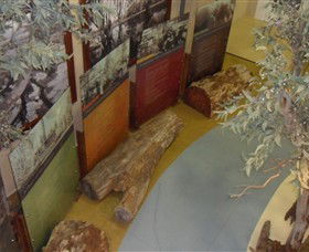 Barmah Forest Heritage And Education Centre - Accommodation in Brisbane 4