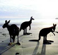Hibiscus Coast - Accommodation in Brisbane