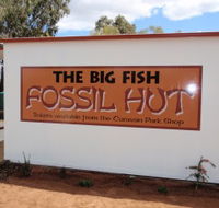 Big Fish Fossil Hut at Peak Hill - Accommodation in Brisbane