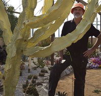 Cactus Country - Accommodation in Brisbane
