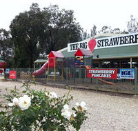The Big Strawberry - Accommodation in Brisbane