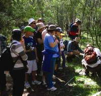 Warrumbungle National Park Discovery Program - Accommodation in Brisbane