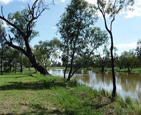 Seplin Estate Wines - Accommodation in Brisbane 1