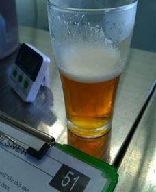 Goanna Brewing - Accommodation in Brisbane 1