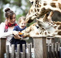 Taronga Western Plains Zoo Dubbo - Accommodation in Brisbane