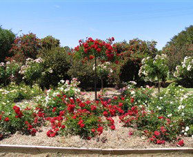 Barooga Botanical Gardens - Accommodation in Brisbane 2