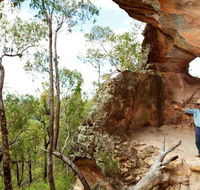 Pilliga National Park - Accommodation in Brisbane