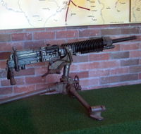 Woodpecker Gun - Accommodation in Brisbane
