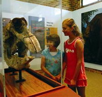Australian Museum Diprotodon Exhibition - Accommodation in Brisbane