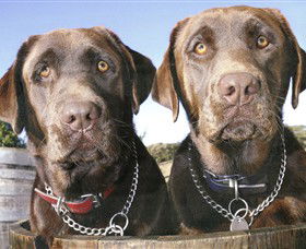 Ellender Estate - Accommodation in Brisbane 7