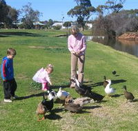 Roy Little Park Merredin - Accommodation in Brisbane