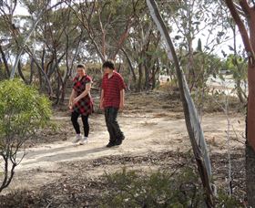 Tamma Parkland - Accommodation in Brisbane 0