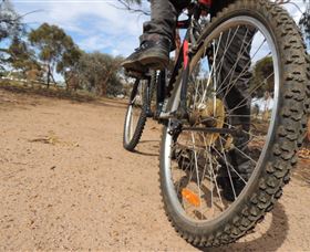 Tamma Parkland - Accommodation in Brisbane 1