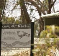 Kindra Forest - Accommodation in Brisbane