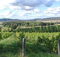 Sassy Wines - Accommodation in Brisbane