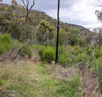 Lynchs loop trail - Accommodation in Brisbane