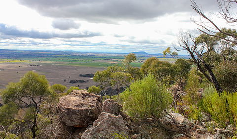 Lynchs Loop Trail - Accommodation in Brisbane 3