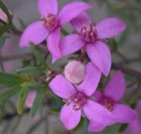 Self Drive Geology and Nature Trails - Accommodation in Brisbane