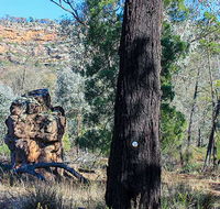 Eualdrie walking track - Accommodation in Brisbane