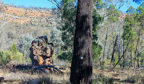 Eualdrie Walking Track - Accommodation in Brisbane 0