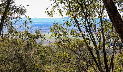 Eualdrie Walking Track - Accommodation in Brisbane 2