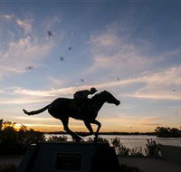 Black Caviar Statue - Accommodation in Brisbane