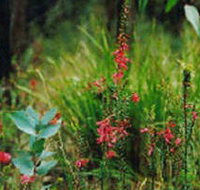 Enfield State Park - Accommodation in Brisbane