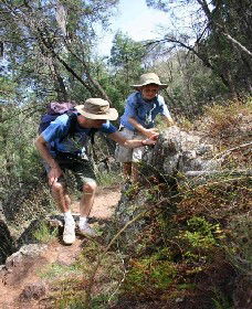 Arthurville NSW Accommodation in Brisbane