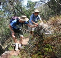 Mount Arthur Reserve - Accommodation in Brisbane