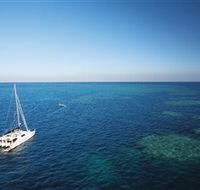 Bait Reef and Garys Lagoon Dive Site - Accommodation in Brisbane