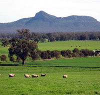 The Rock Nature Reserve - Accommodation in Brisbane