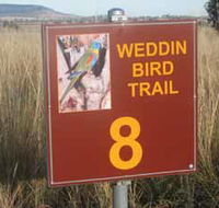 Weddin Bird Trails - Accommodation in Brisbane