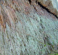 The Rock Nature Reserve - Kengal Aboriginal Place - Accommodation in Brisbane