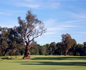 Corowa Golf Club - Accommodation in Brisbane 5