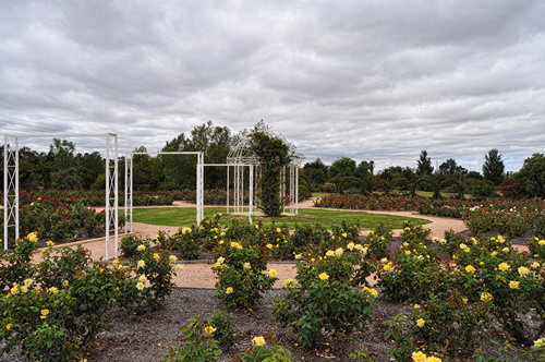 Buronga NSW Accommodation in Brisbane