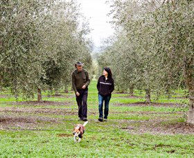 Wollundry Grove Olives - Accommodation in Brisbane 3