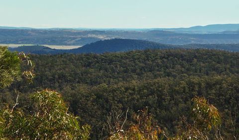 Conimbla National Park - Accommodation in Brisbane 1