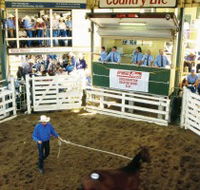 Gracemere Exhibition Complex - Accommodation in Brisbane