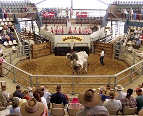 Gracemere Exhibition Complex - Accommodation in Brisbane 1