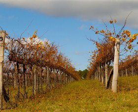 Charles Sturt University Winery Wagga Wagga - Accommodation in Brisbane 3