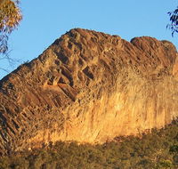 Kaputar scenic drive - Accommodation in Brisbane